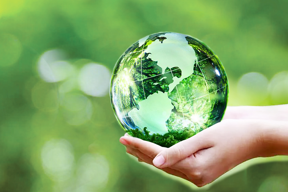 Colusa - Miliket: Doanh Nghiệp Xanh Với Nỗ Lực Theo Đuổi Hành Trình NET ZERO