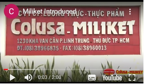 Điều lệ công ty